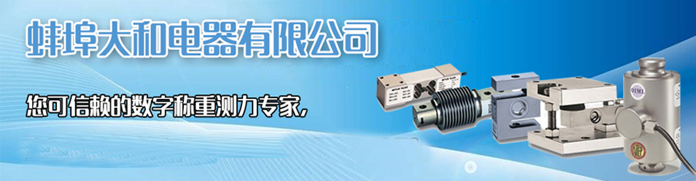 稱(chēng)重傳感器,拉力傳感器,張力傳感器,測(cè)力傳感器,稱(chēng)重傳感器廠(chǎng)家,蚌埠傳感器
