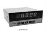 TS-5H 智能數(shù)字顯示..